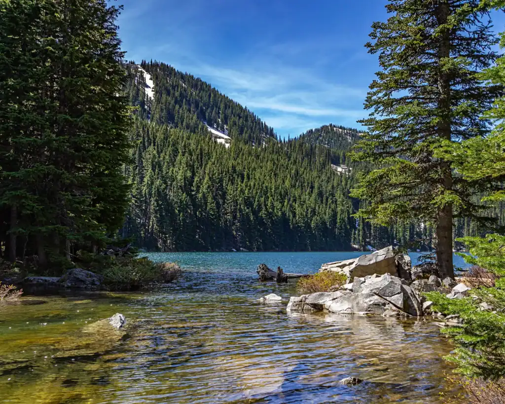 extra large 1bbfc650b28c7b5bb2008726ec4b2a91 e1737202631572