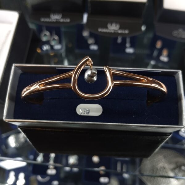 Montana Silversmiths Elegant Aura