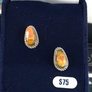 Montana Silversmiths Mountain Glacier Treasures Earrings