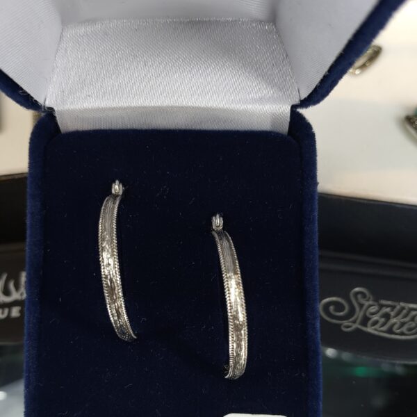 Montana Silversmiths Western Lifestyle Hoop Lever/Latch Earrings