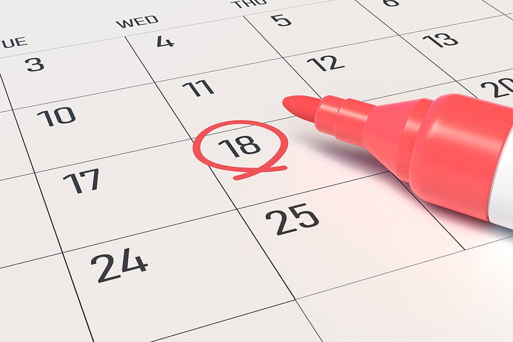 Family Reunion Timeline: A Basic Step-by-Step Planning Guide Focused on the Essentials 1