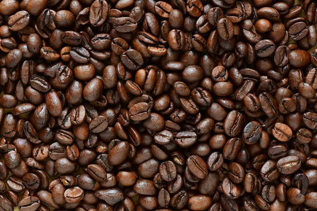 Coffee Fun Facts: Discover More Trivia and Enjoy a Coffee (and a Stay) at Lakeside Motel & Resort 1